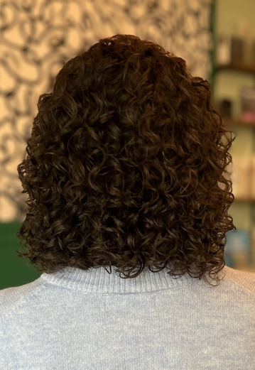 About the Salon